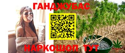 ALPHA-PVP Нальчик